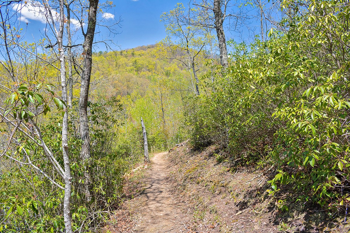 A part of the trail along the ridgeline of Goldmine Loop Trail
