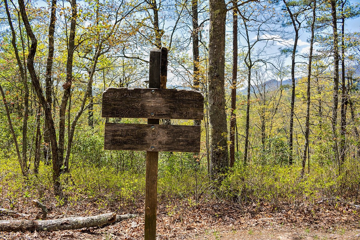 Signs marking the trail along Goldmine Loop Trail