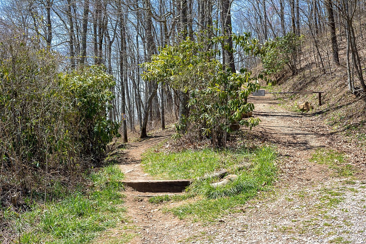two trails leading to wesser bald fire tower